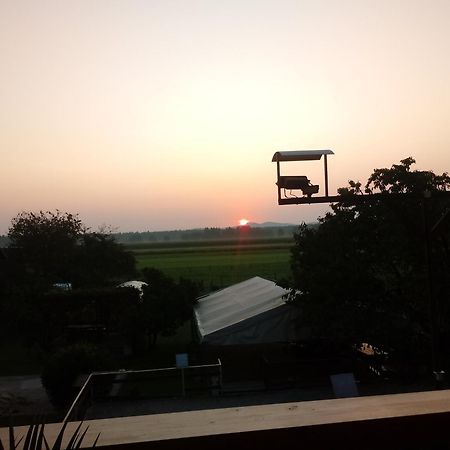 Guesthouse Zivko Dobrovce エクステリア 写真