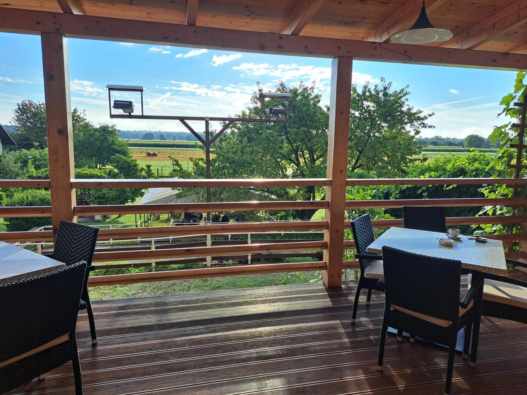 Guesthouse Zivko Dobrovce エクステリア 写真
