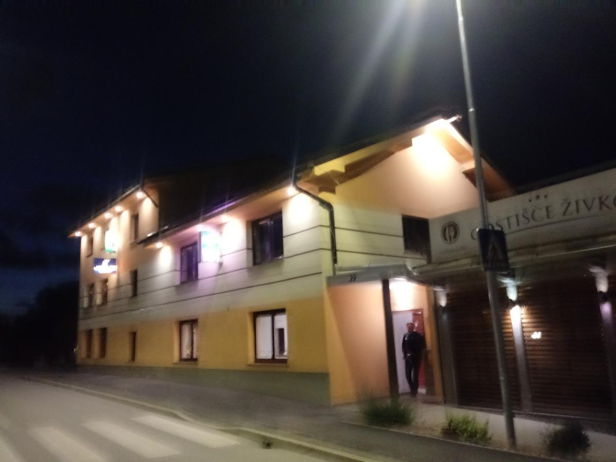 Guesthouse Zivko Dobrovce エクステリア 写真